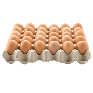 Kozlu Yumurta 30'lu