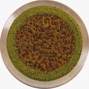 Şehzade Speacial