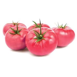 Domates Pembe