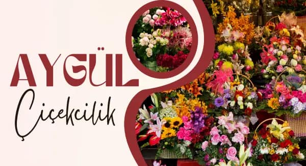 Aygül Çiçekçilik